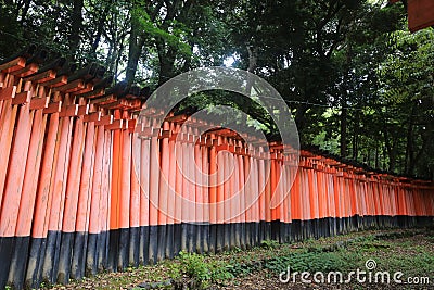 Side view of Senbon Torii â€œThousand Toriiâ€ gateways in Fushimi Inari Taisha Temple in Kyoto Japan Stock Photo